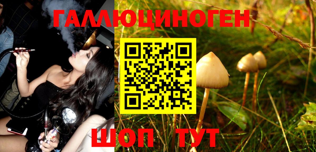 Псилоцибиновые грибы GOLDEN TEACHER Татарск